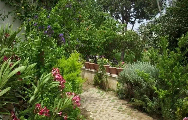 Гюзельчамлы: Villa Demirci 4