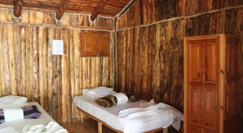 Jungle Bells Hostel — фото 1