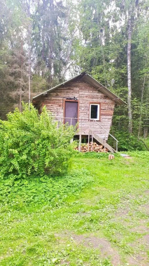 Perechitsy: Мельница на речке Черной