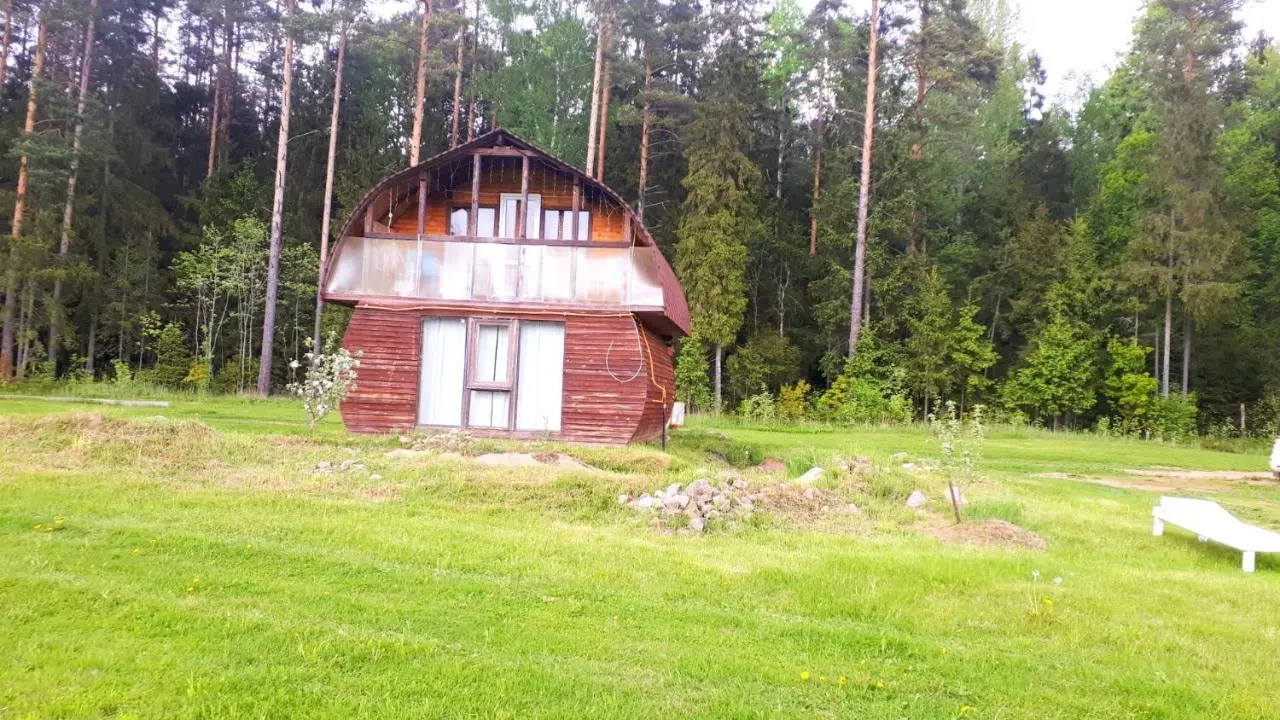 Perechitsy: Мельница на речке Черной