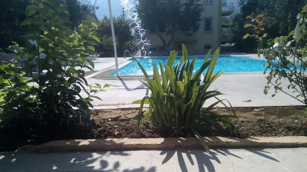 Фетхие: Baris Hotel