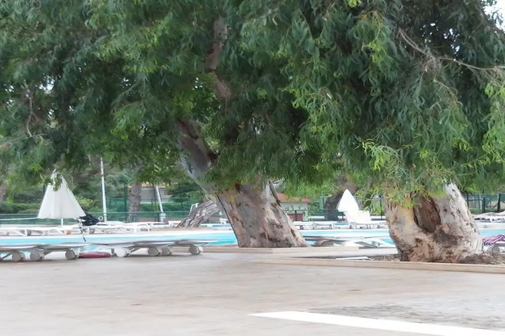 Гёйнюк: Bergiz Hotels & Resort Kemer 