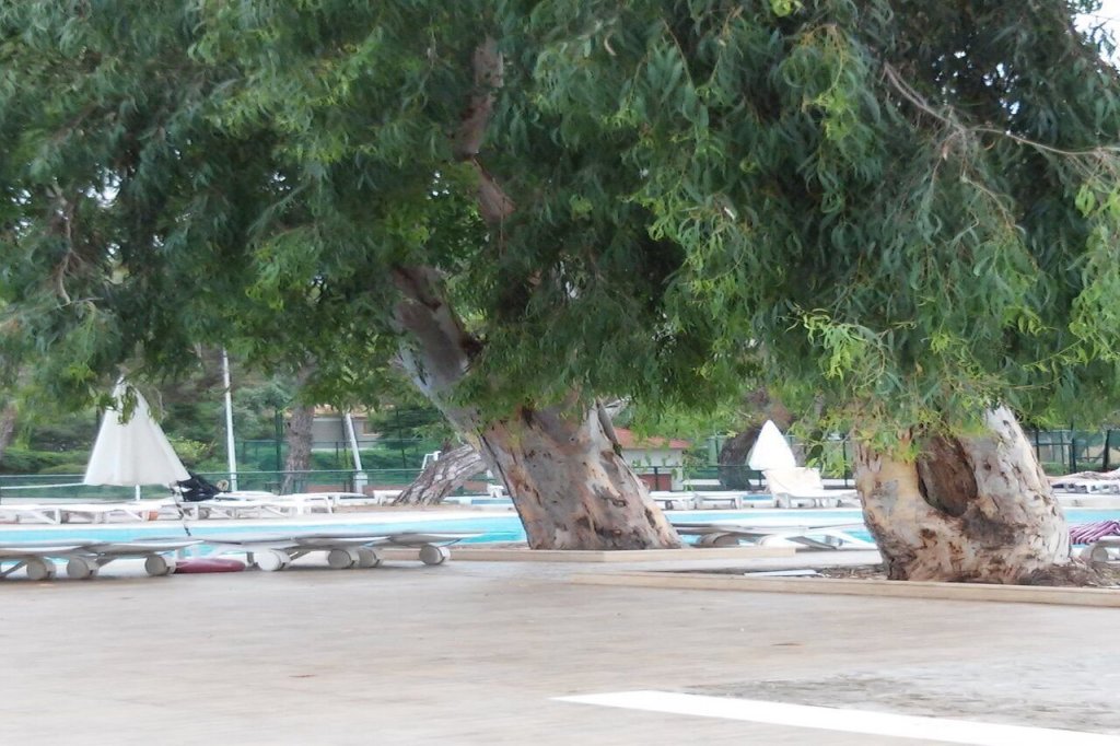 Гёйнюк: Bergiz Hotels & Resort Kemer 