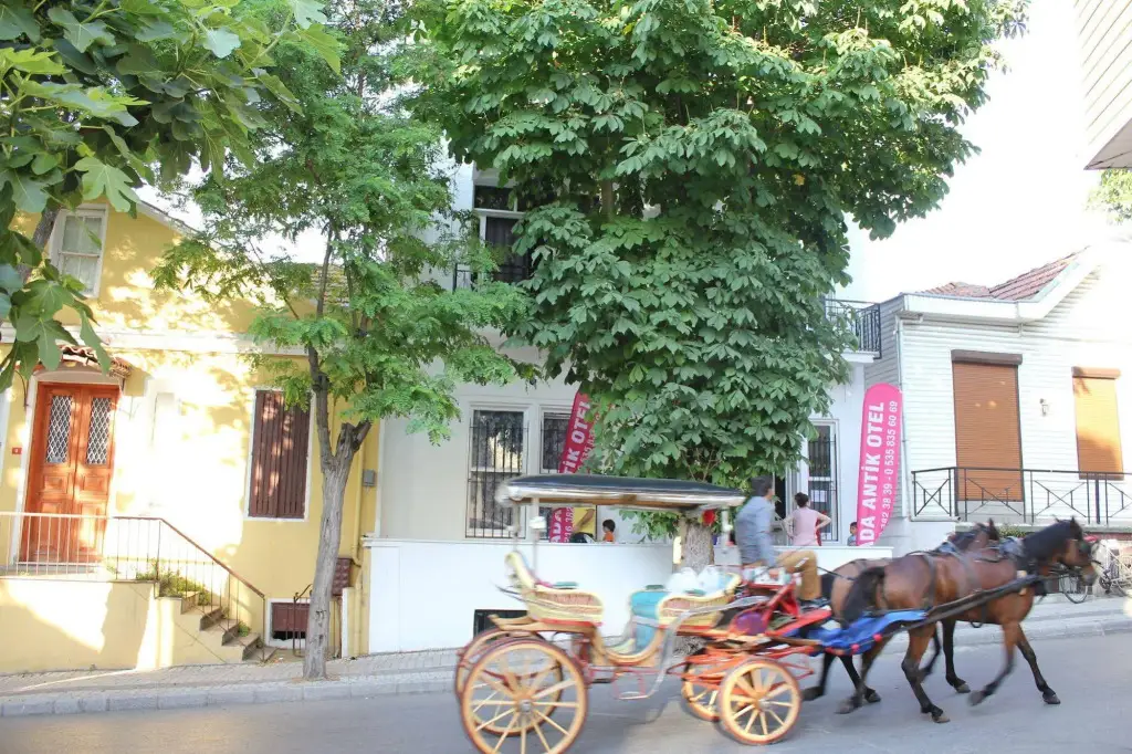 carousel image 3