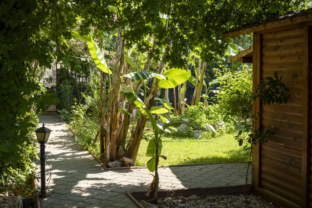 Фетхие: Бутик-отель Gunes Boutique Hotel - Oludeniz