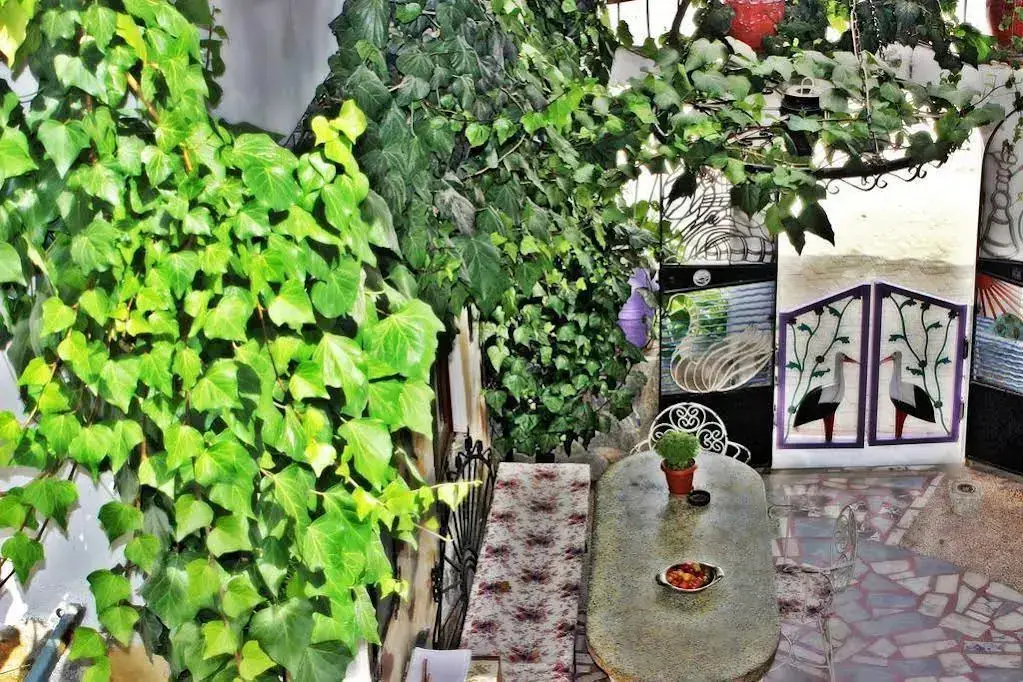 Сельчук: Barim Pansiyon
