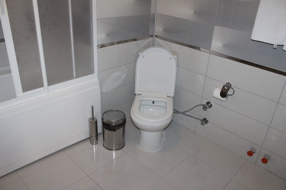 Енис: Yenice Goknar Hotel