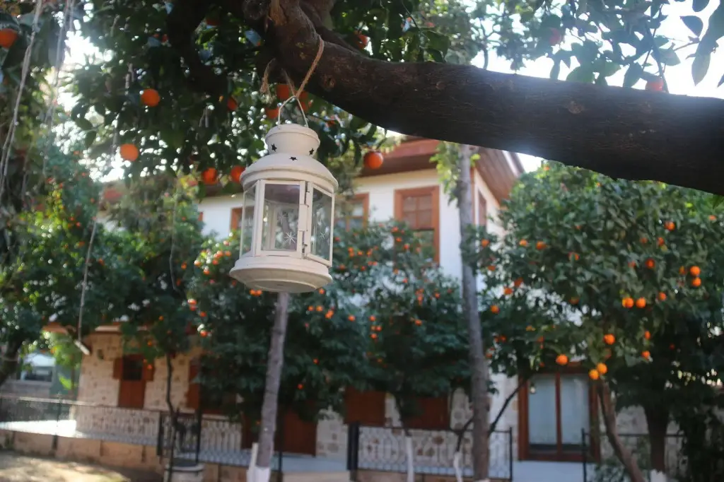 Анталья: Citrus Garden Hotel