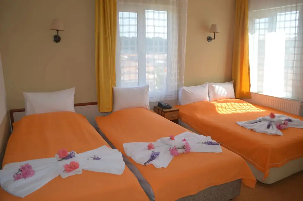 Айвалык: Megas Hotel