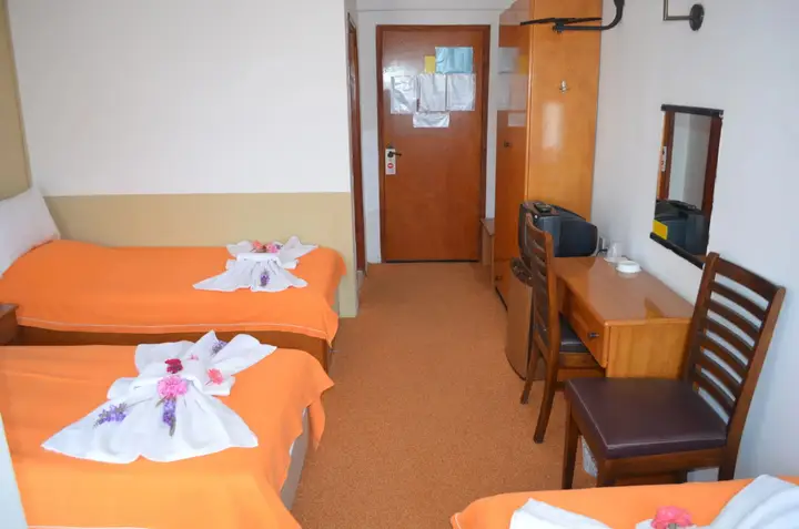 Айвалык: Megas Hotel
