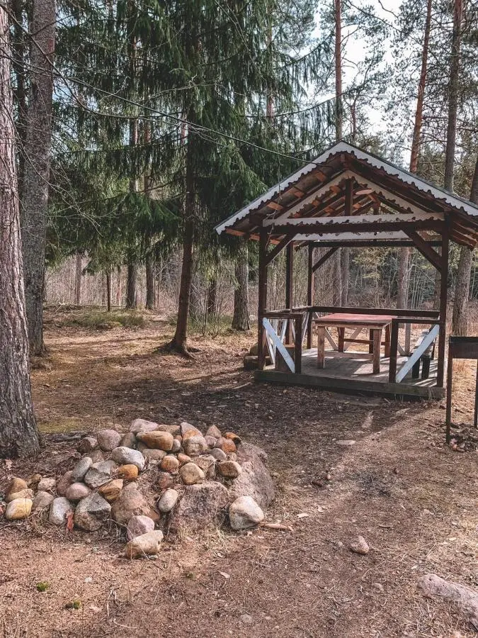 Ольховка: Villa Time Петяярви