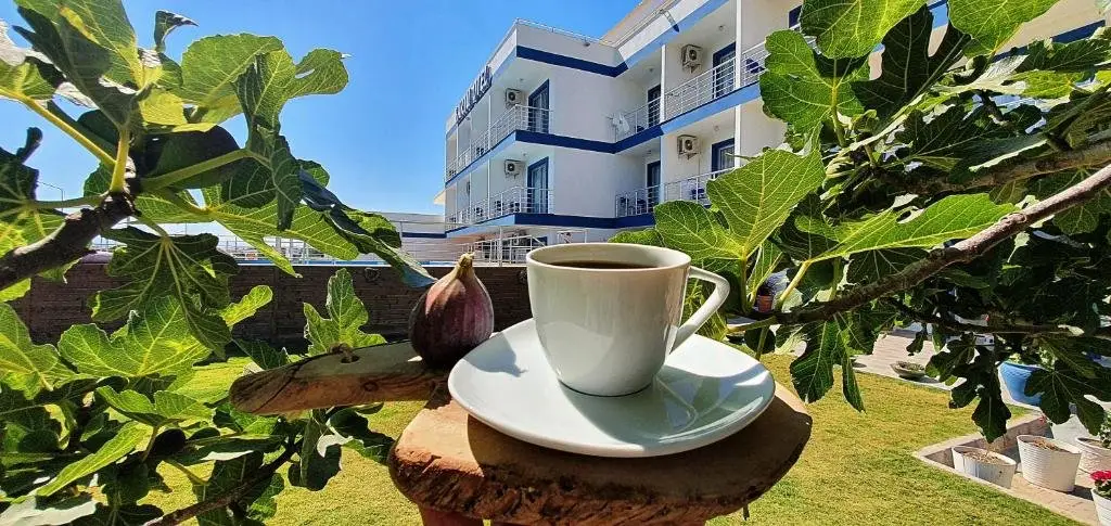 Чешме: Bartu Hotel