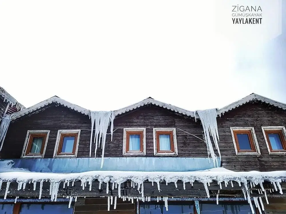 Гюмюшхане: Zigana Gumuskayak Yaylakent Hotel