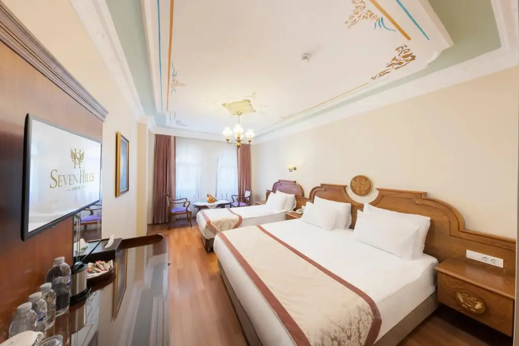 Стамбул: Seven Hills Hotel - Special Class
