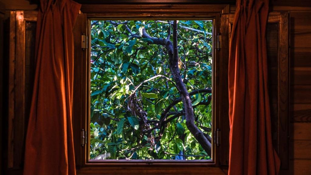 Lemon Garden Lodge — фото 1