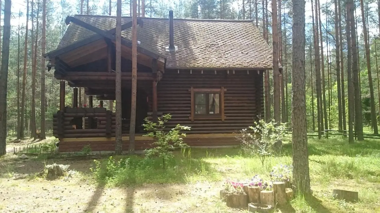 Ягодное: Дом Викинга (Ягодное)