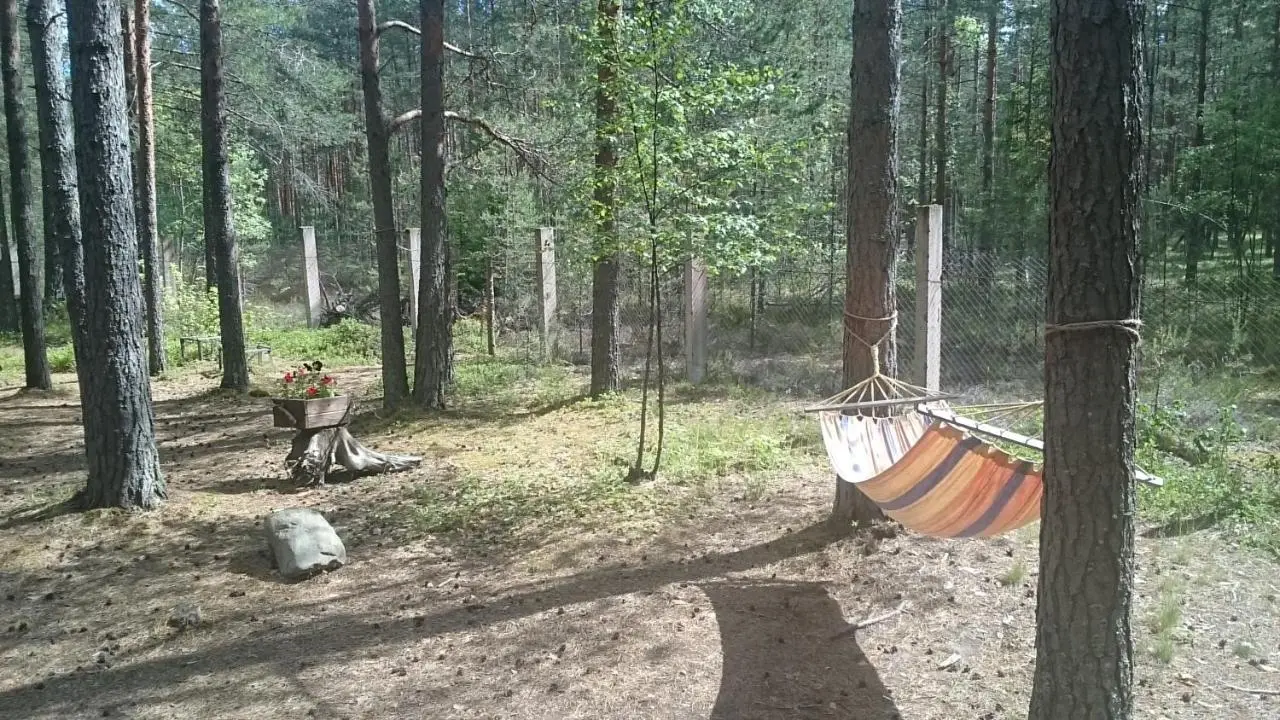 Ягодное: Дом Викинга (Ягодное)