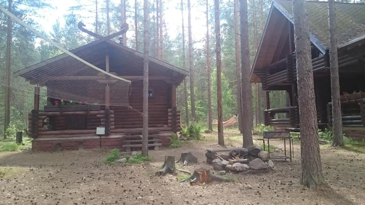 Ягодное: Дом Викинга (Ягодное)