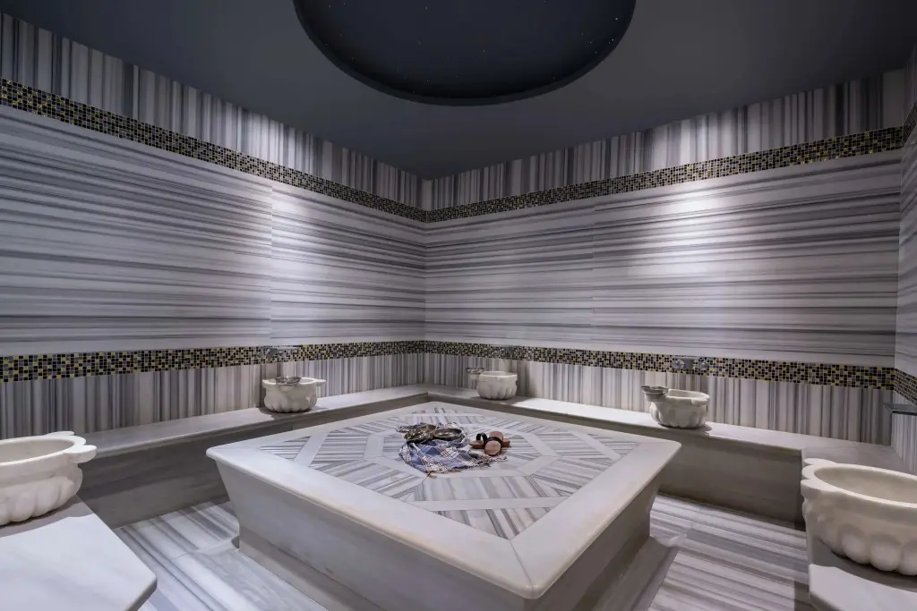 Стамбул: DoubleTree by Hilton Istanbul Gayrettepe
