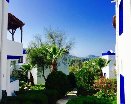 Гюмюшлюк: My House Bodrum Holiday Village