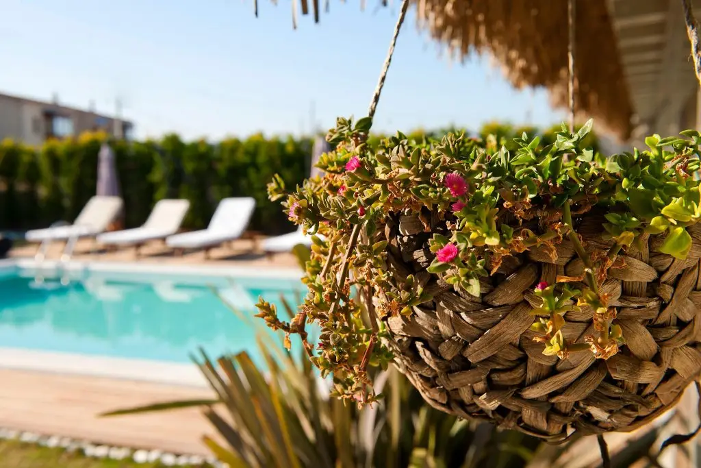 Чешме: Sade Alacati Hotel