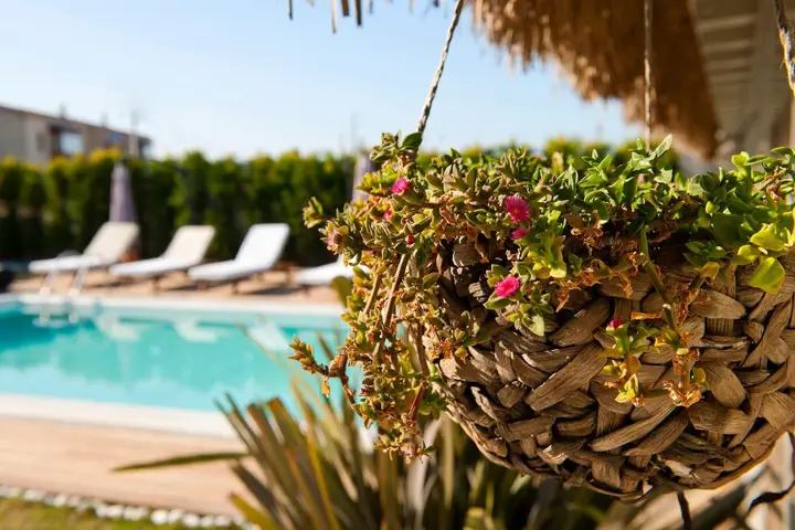 Чешме: Sade Alacati Hotel