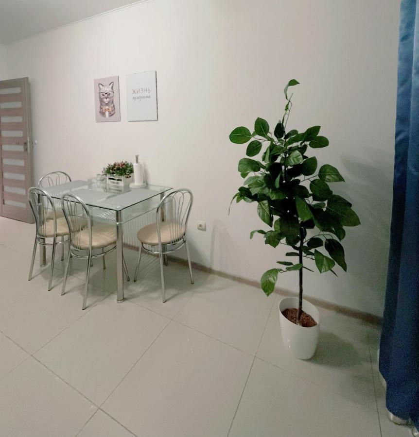 Калининград: Apartment on Dobrolyubova 28