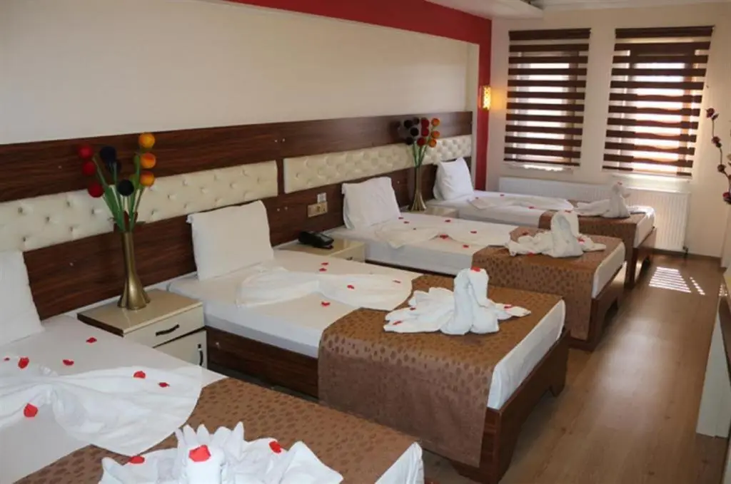 Конья: Mesnevi Hotel