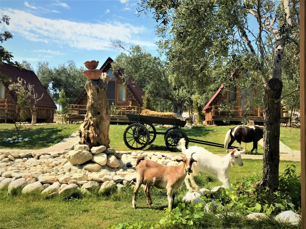 Эдремит: Ida Natura Life Style Otel Kazdaglari