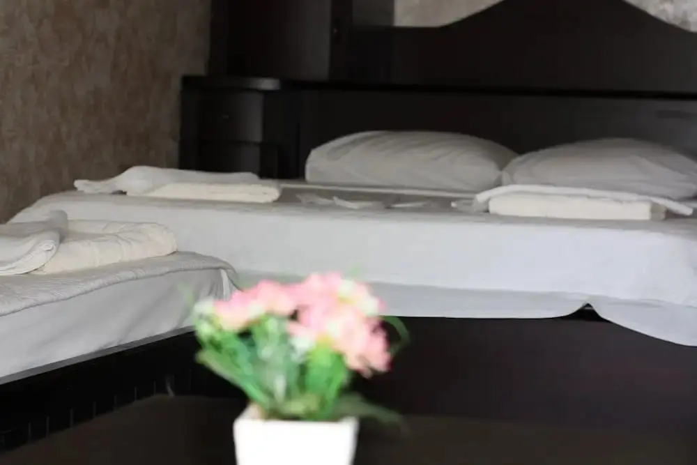 Эдремит: Antik Manastir Butik Otel