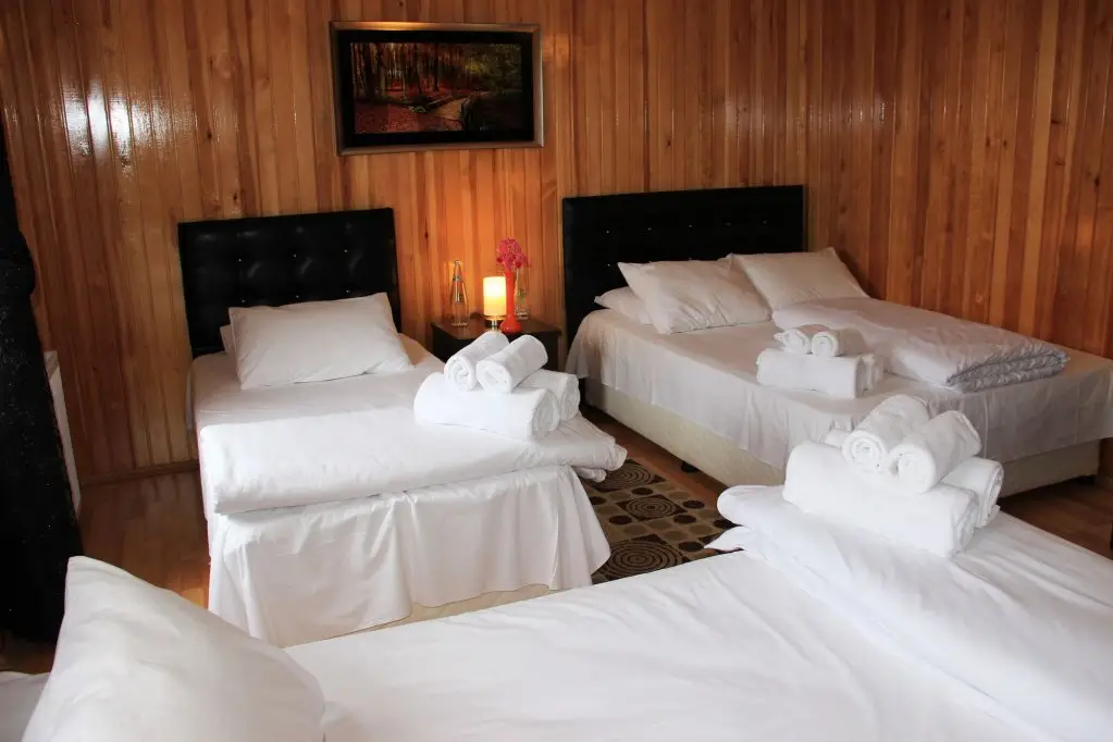 Ayder Villa de Pelit Hotel — фото 1