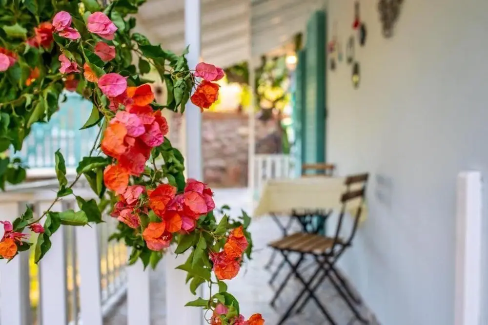 Sirin Home Selimiye — фото 1