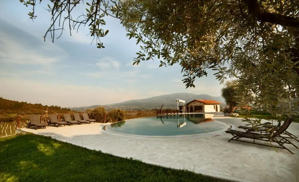 Vinifera Vineyards Hotel — фото 1