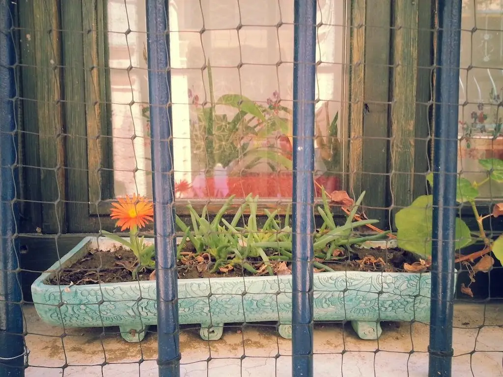 Айвалык: Ayvalik Blue House