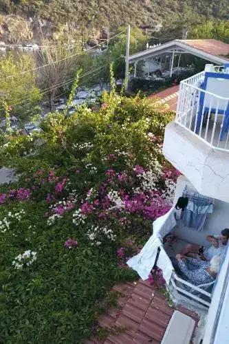 Датча: Serenity Pension