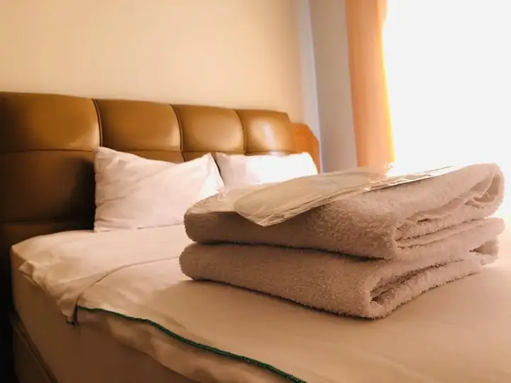 Стамбул: Istanbul Dedem Hotel