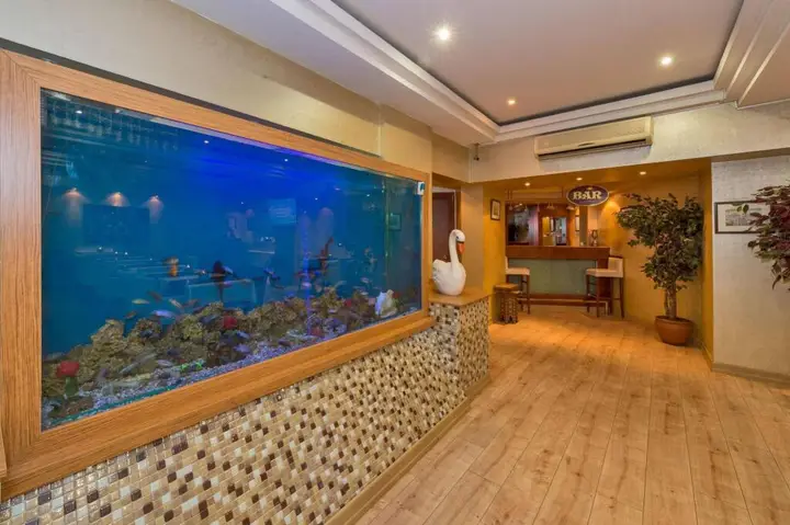 Стамбул: Beyaz Kugu Hotel