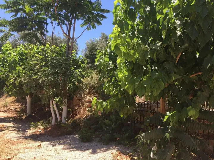 Каш: Olympos Mocamp Kas