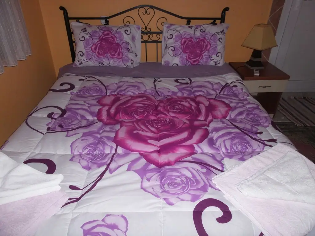 Сельчук: Anz Guesthouse Pansiyon