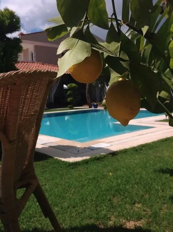 Чешме: Cayirli Alacati Butik Otel