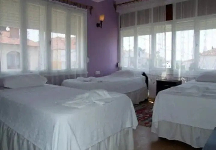 Чешме: Mimas Hotel