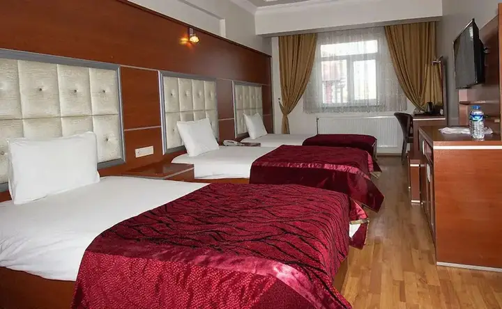 Ардахан: Kafkas Ari Hotel