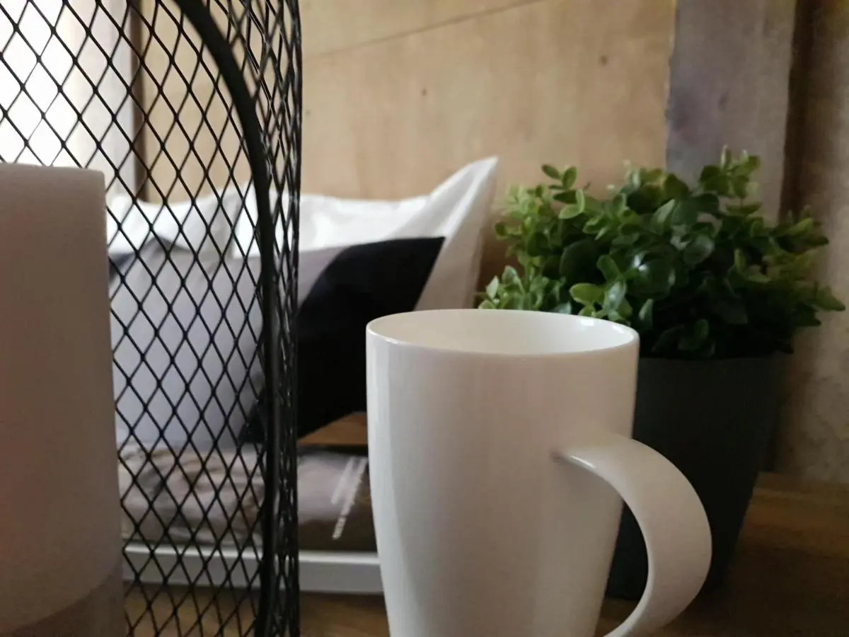 Йошкар-Ола: Mini hotel Shale 1