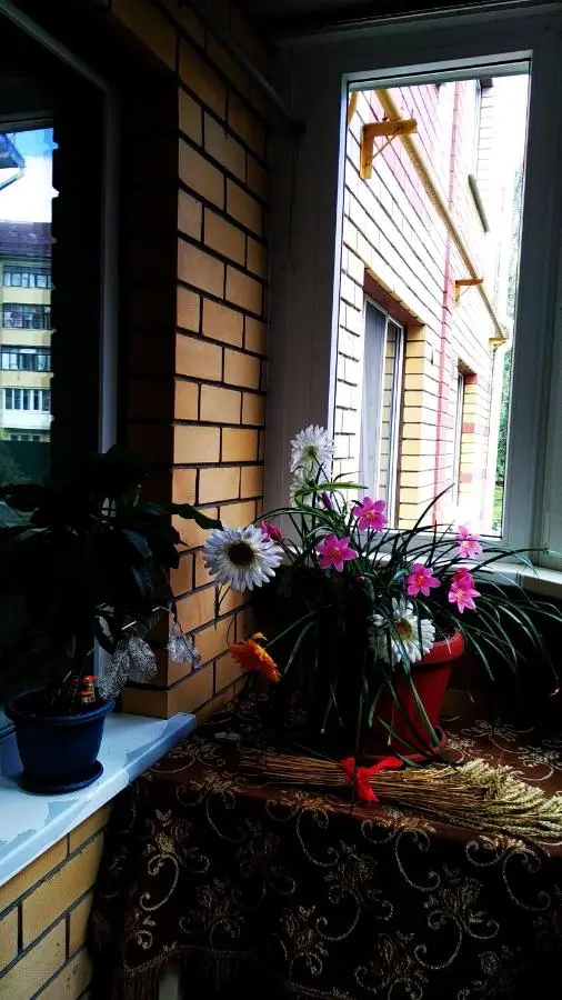 Йошкар-Ола: Apartment on Krasnoarmeyskaya 95b