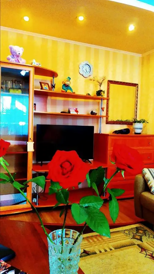 Йошкар-Ола: Apartment on Krasnoarmeyskaya 95b
