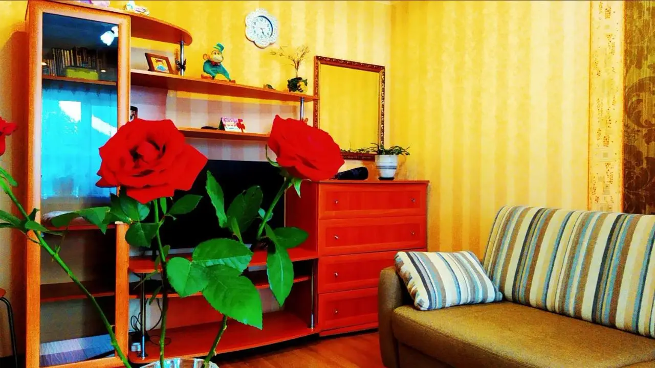 Йошкар-Ола: Apartment on Krasnoarmeyskaya 95b