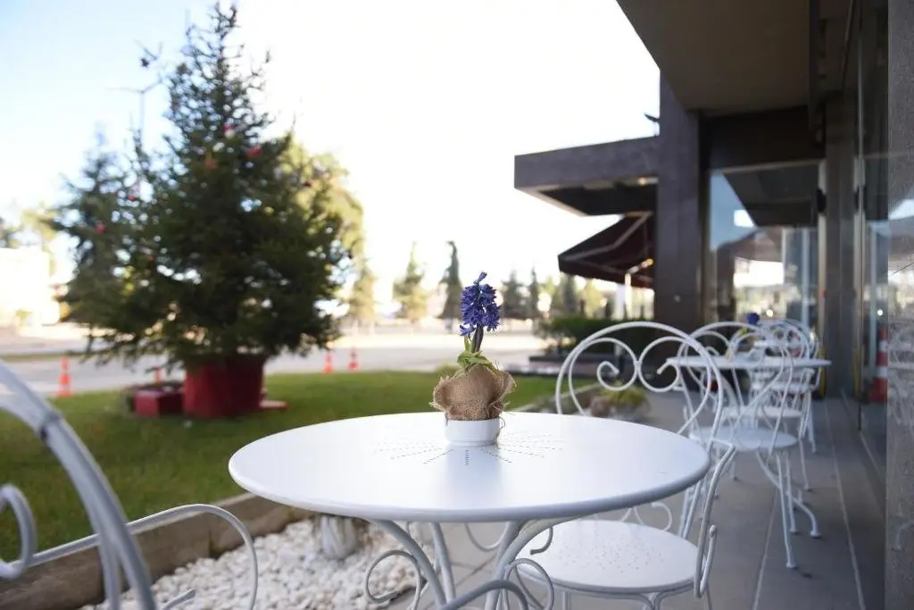 Орду: Baliktasi City Hotel