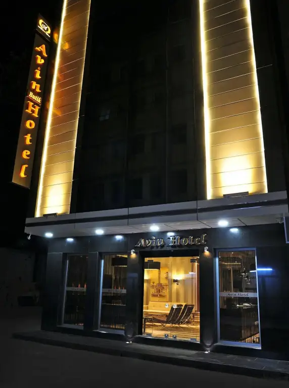 Avin Hotel — фото 1