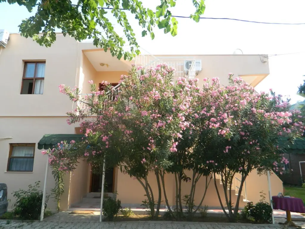 Чиралы: Cirali Olympos Hotel