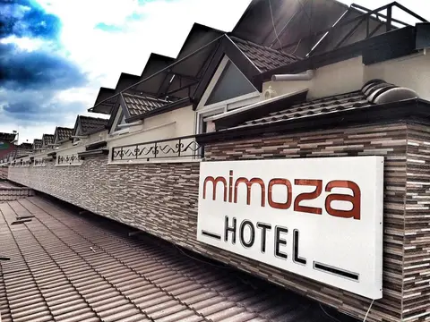 Mimoza Hotel — фото 1